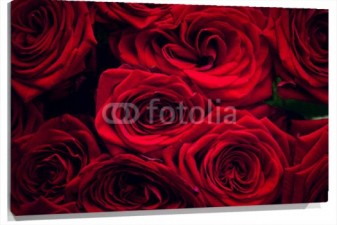 Lienzo Rosas rojas sobre fondo negro